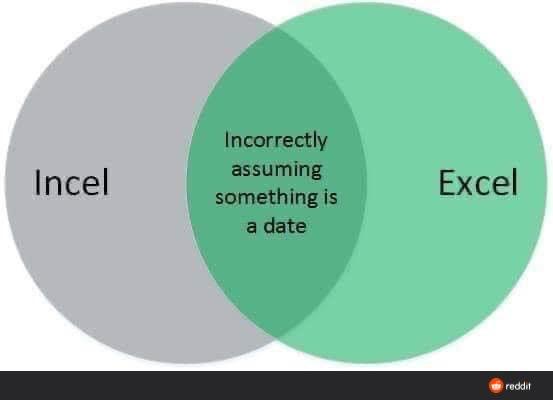 excel%20vs%20incel.jpg